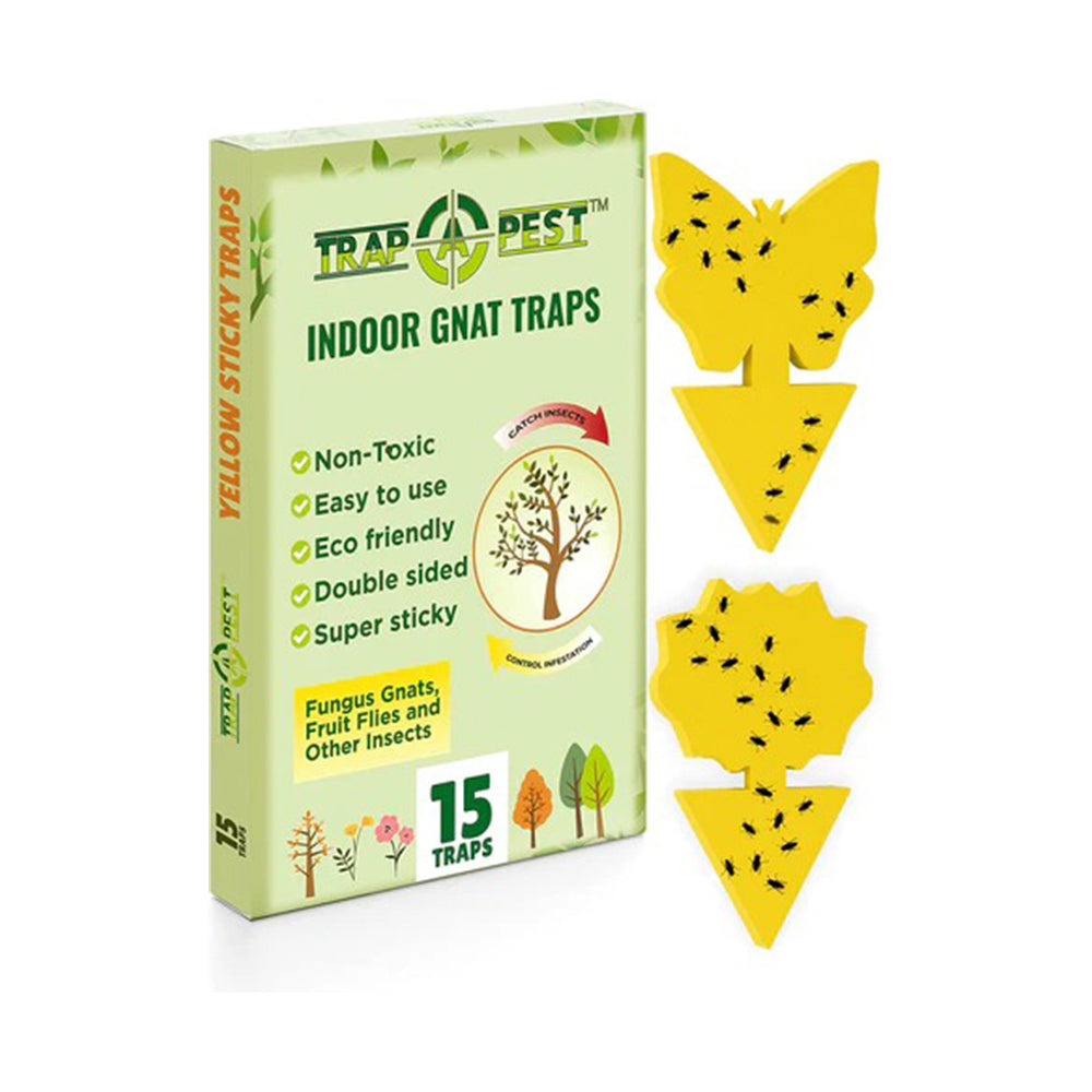 20pcs Sticky Trap,fruit Fly And Gnat Trap Yellow Sticky Bug Traps