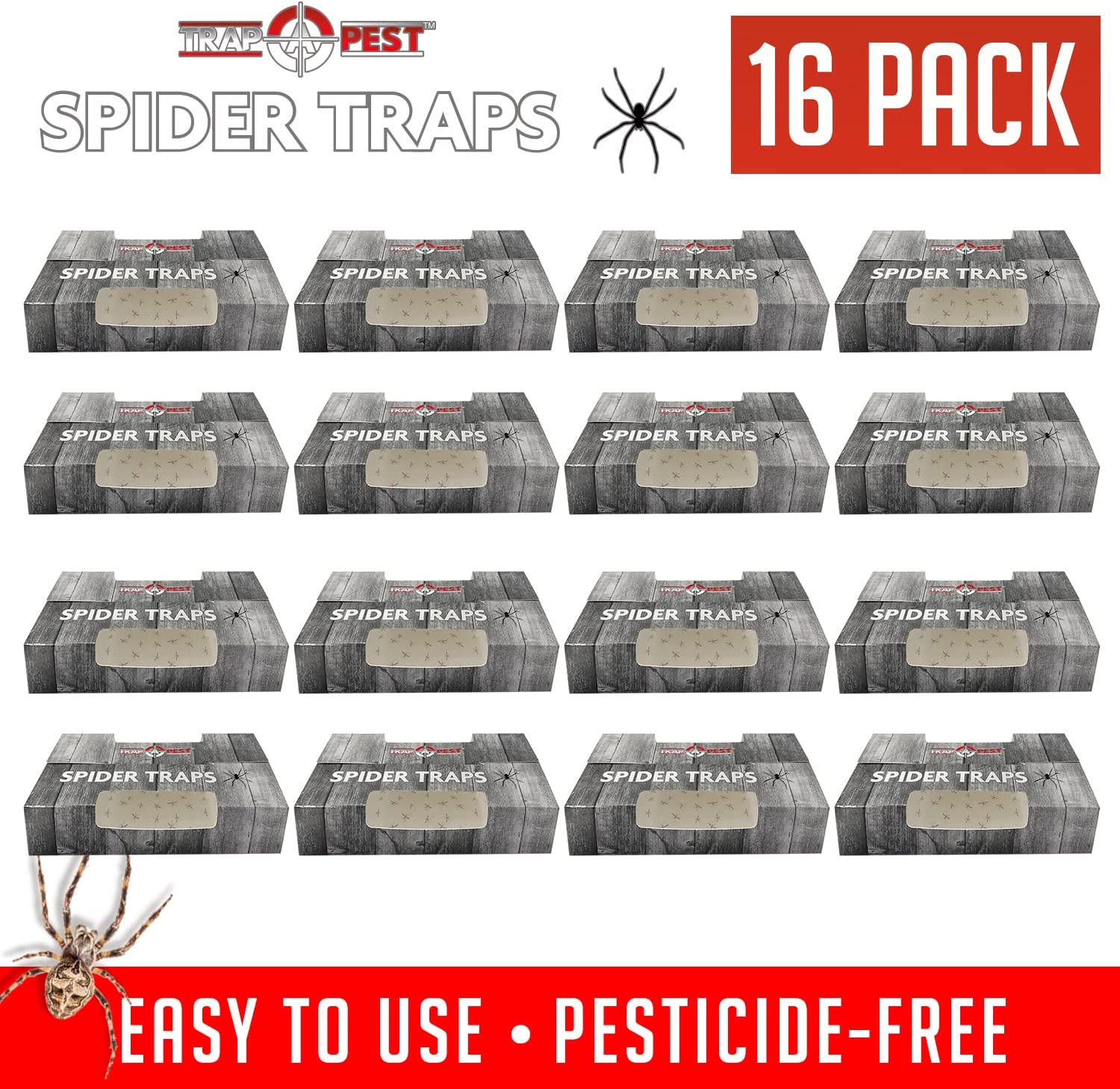 LULUCATCH Cricket Insect Glue Traps - 6 Pack Bug Traps, Cockroach Sticky  Traps, Large Spider Trap with Pre-Baited Attractant, Highly Effective Glue